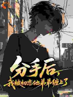 分手后,我被初恋他弟弟缠上了小说_分手后,我被初恋他弟弟缠上了小说结局阅读-暗夜阅读网