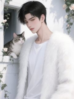 渣女退我高铁票,我反手呼叫私人飞机【全章节】梁恒嘉伟何羽完结版免费阅读