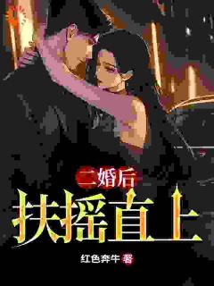 精彩小说孙明袁成东二婚后扶摇直上全文目录畅读