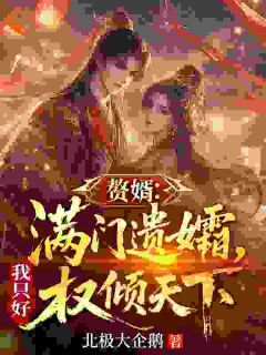 赘婿:满门遗孀,我只好权倾天下全集小说_楚墨叶轻舞完结版阅读