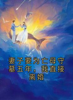 妻子要为亡母守墓五年，我直接离婚小说-沈妍白浩辰全篇阅读