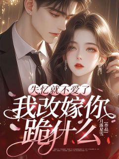 失忆就不爱了,我改嫁你跪什么言晚傅砚-月落星雪小说