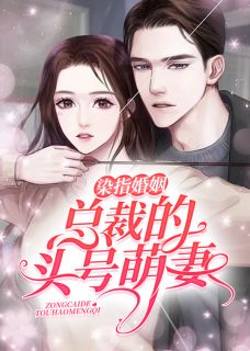 精品小说染指婚姻:总裁的头号萌妻全文目录畅读