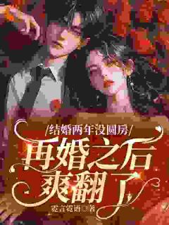 结婚两年没圆房,再婚之后爽翻了苏怀音商毅小说全章节最新阅读