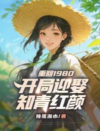 顾辰远沈红颜小说<重回1980:开局迎娶知青红颜>全文在线阅读