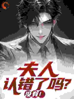 夫人认错了吗? 没有!小说在线阅读,主角江辰苏婉清精彩段落最新篇