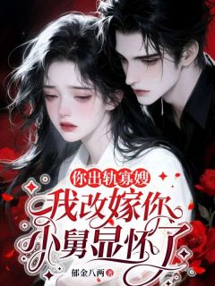 傅西洲孟昭全文最新章节正版小说免费阅读