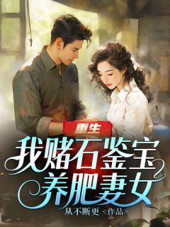 抖音爆款重生:我赌石鉴宝养肥妻女沈浩王红梅无广告阅读