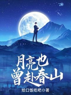 宋晨宇贺清月月亮也曾赴春山小说完整版