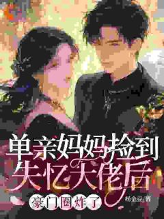 熬夜也要看完的单亲妈妈捡到失忆大佬后，豪门圈炸了小说推荐