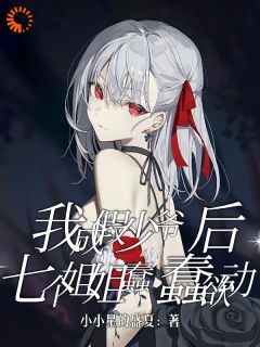 高质量小说我成假少爷后，七个姐姐蠢蠢欲动在线试读