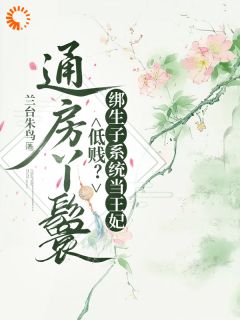 【通房丫鬟低贱?绑生子系统当王妃】主角(唐圆圆沈清言)在线阅读