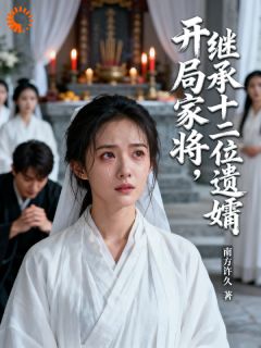 开局家将，继承十二位遗孀小说免费版阅读抖音热文