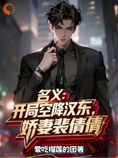 名义：开局空降汉东，娇妻裴倩倩by李毅裴倩倩在线阅读