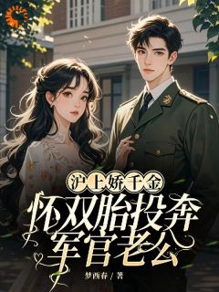 沪上娇千金，怀双胎投奔军官老公苏晚顾淮之免费全章节目录阅读