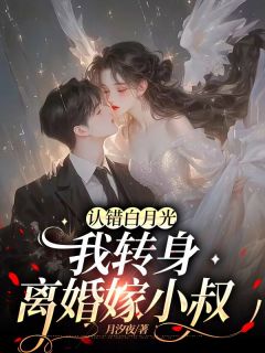 独家认错白月光,我转身离婚嫁小叔小说-主角许怀夕江清衍全文免费阅读
