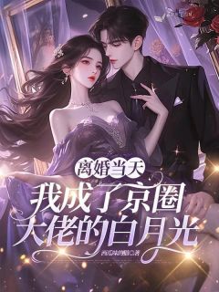 西瓜味的猫最新小说离婚当天，我成了京圈大佬的白月光林蔓莫北渊在线试读