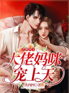 唐夏霍凉琛小说空降四宝，大佬妈咪宠上天全文阅读