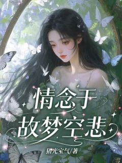 (精品)情念于故梦空悲小说