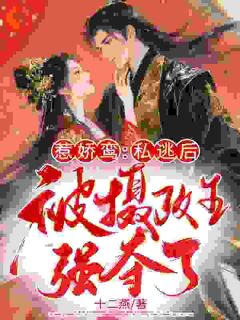 甩了落魄狼王后，他叼我回窝小说主角是李鸾魏昭全文完整版阅读