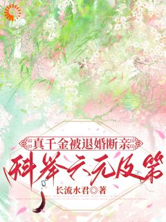 无广告小说假千金还在内卷，我去考公了-陆昭陆婉婉在线阅读