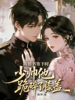 [抖音]小说冷泉灵白殊然离婚书签下时，少帅他跪碎了膝盖