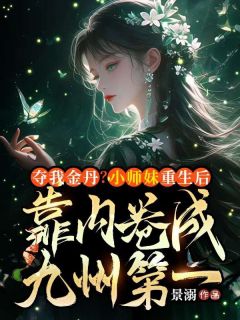 爆款小说夺我金丹？小师妹重生后靠内卷成九州第一在线阅读-叶清虞凌虚子免费阅读