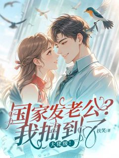 爆款小说由作者扶笑所创作的国家发老公？我抽到了大佬级！在线阅读