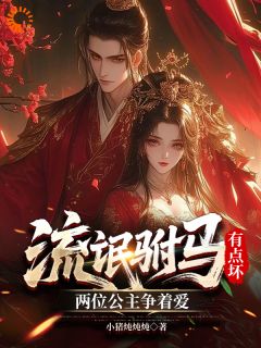 优质新书流氓驸马有点坏，两位公主争着爱最新章节小说全文阅读