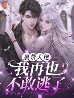 黑帮大佬，我再也不敢逃了林颜许祁枭小说完整在线阅读