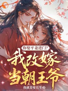 江婉宁宇文聿你娶平妻进门？我改嫁当朝王爷全章节免费阅读