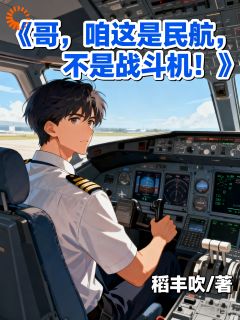 哥，咱这是民航，不是战斗机！在线全文阅读-主人公许泽霖王强小说