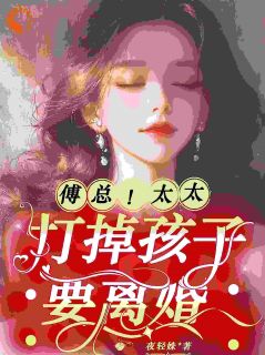 傅总，太太打掉孩子要离婚小说(连载文)-南欢尔傅砚川无广告阅读
