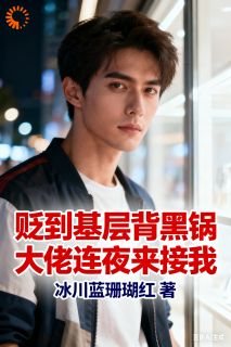 贬到基层背黑锅,大佬连夜来接我(江辰赵娜)最新章节试读