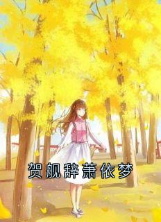 贺舰辞萧依梦小说的书名是什么