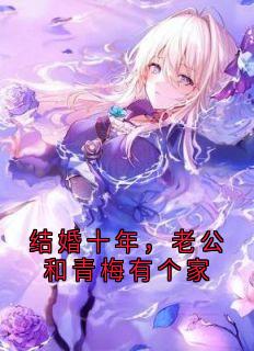 侠名最新小说结婚十年，老公和青梅有个家苏慧沈砚舟在线试读