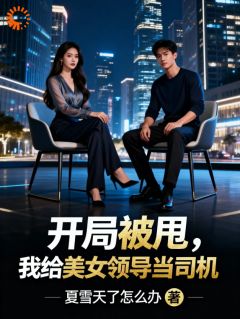 开局被甩，我给美女领导当司机林铮苏沐秋小说全章节最新阅读