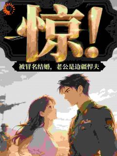 惊！被冒名结婚，老公是边疆悍夫(苏锦辞霍野)最新章节