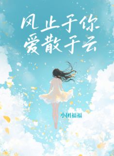 【风止于你，爱散于云】主角(顾烬沈止渊)在线阅读