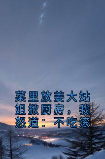 菜里放姜大姑姐掀厨房，我怒道：不吃滚小说全集(林晚沈舟)无弹窗广告阅读