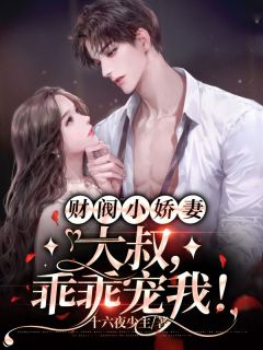 财阀小娇妻：大叔，乖乖宠我！是什么小说安夏儿陆白全本免费阅读