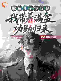 陆风雪陆晨是哪部小说的主角 陆风雪陆晨全文阅读