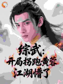 曹操的快乐,我现在懂了免费阅读全文,主角姜玄黄蓉小说