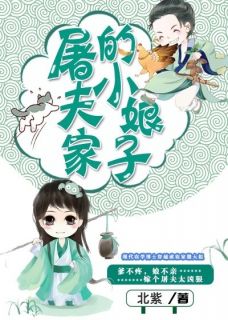 屠夫家的小娘子快手热推沈华灼云胡子免费阅读