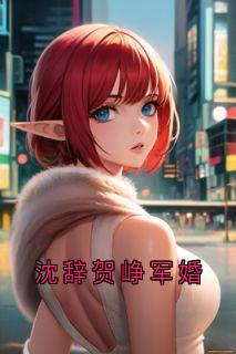 沈辞贺峥军婚小说全集(沈辞贺峥)无弹窗广告阅读