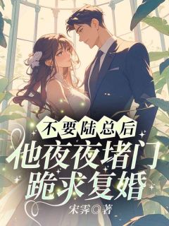 不要陆总后,他夜夜堵门跪求复婚温知妤陆湛免费阅读-不要陆总后,他夜夜堵门跪求复婚宋霁小说