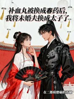 精选好书补血丸被换成春药后，我将未婚夫换成太子了无删减版全文在线