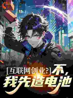 互联网创业？不，我先造电池马宇腾马国良全章节目录免费阅读