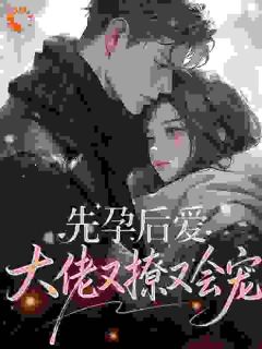 先孕后爱，大佬又撩又会宠小说的书名是什么