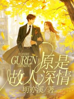 原是故人深情小说的书名是什么